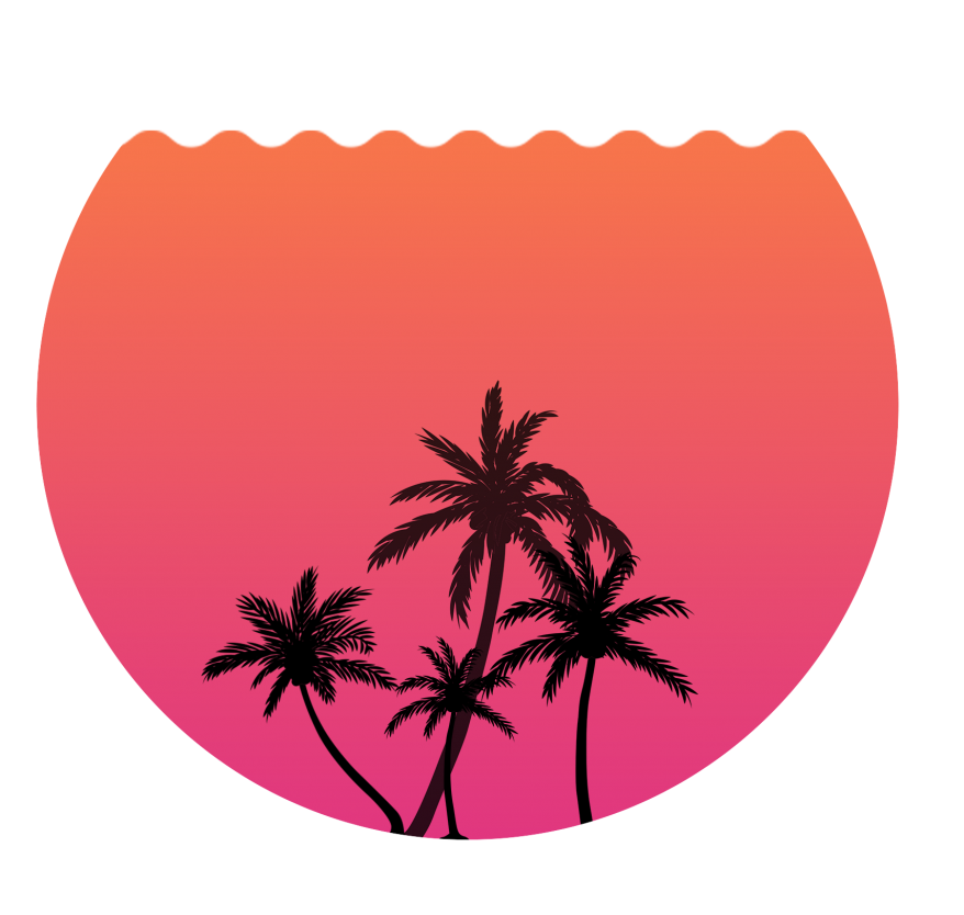 gallery/circuloypalmeras